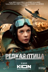 Редка-Птица 2024